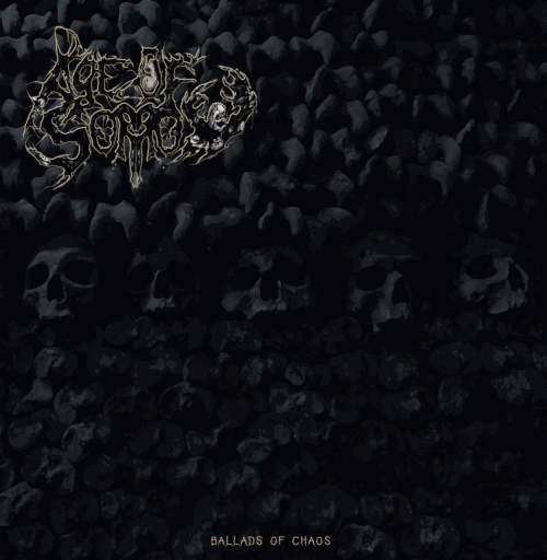 Age Of Sorrow : Ballads of Chaos